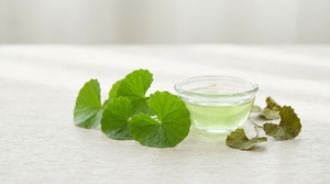 Centella Asiatica: Complete Guide to the Ancient Herb 2026
