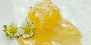 propolis for skin bee products